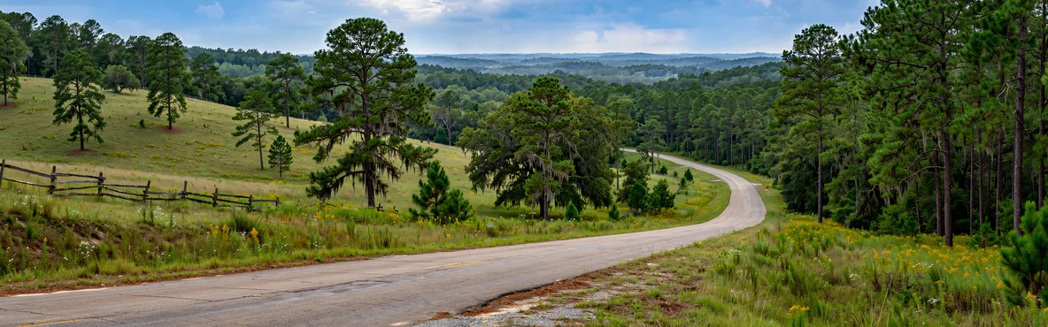 From Collins to Adventure: Epic Road Trips to Take from Collins, MS